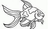 Betta Fish Coloring Pages sketch template