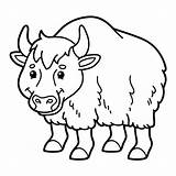 Yak Cute Vector Outline Coloring Yack Sketch Cartoon Template Illustration Stock Illustrations Pages Logo Lightbox Create sketch template