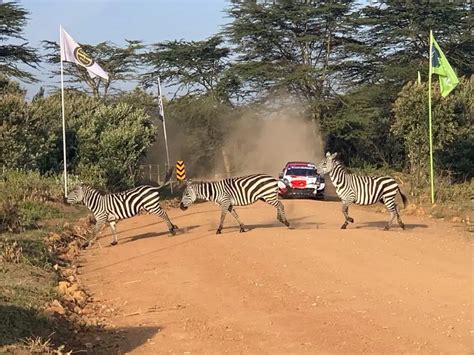 wrc safari rally kenya returns   safari