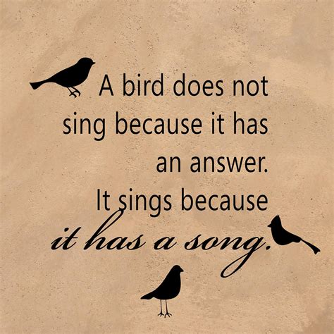 quotes  birds  quotes