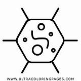 Colorear Bacterias Ultracoloringpages sketch template