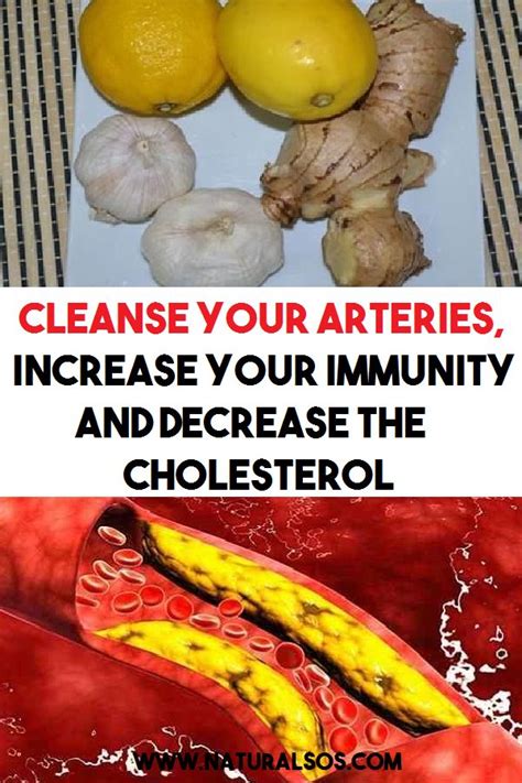 cleanse  arteries increase  immunity  decrease