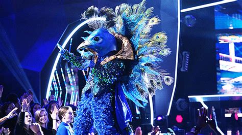 donny osmond is the peacock on ‘the masked singer and runner up hollywood life