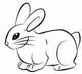 Rabbit Bunny Drawing Line Clipart Drawings Lineart Simple Face Cliparts Clipartmag Nyuszi Szinez Animals Base Pages sketch template