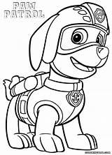 Patrol Paw Zuma Coloring Pages Colouring Print Rocky Drawing Printable Color Colorings Getcolorings Pawpatrol Getdrawings Popular Searches Recent sketch template