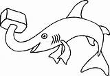 Hammerhai Phantasie Malvorlagen Malvorlage Herunterladen Dieses Titel sketch template
