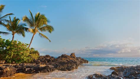 beautiful maui beach ultra hd wallpapers wallpaper cave