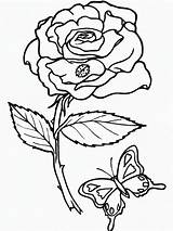 Coloring Pages Rainforest Flowers Plants Popular sketch template