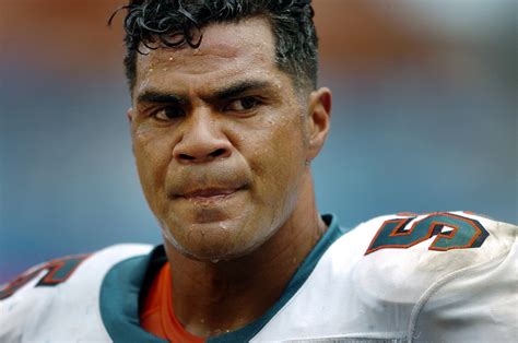 late  miami dolphins lb junior seau   hall  fame inductees sun sentinel