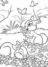 Hasen Dekoking Hase Ausmalbild Bunnies Hare Malvorlage Ausmalen Zum Coloriages Colorions Folgende Prinzessin Zeichnen Impressions sketch template