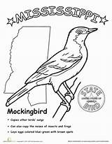 Mockingbird sketch template