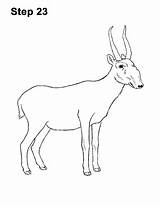 Saiga Antelope sketch template