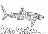 Shark Hai Cool2bkids Malvorlagen sketch template