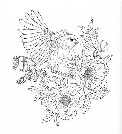 bird coloring page bird coloring pages coloring pages nature
