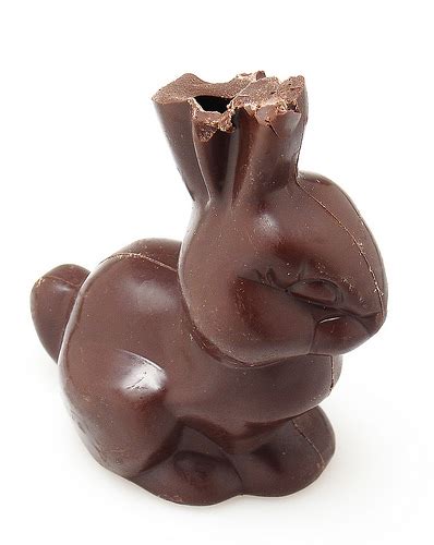 pre cut chocolate bunnywhat   healthy professor