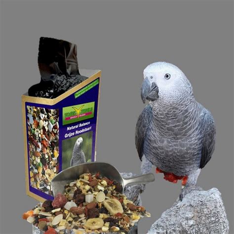 freshpacks papegaai voeding
