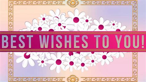 wishes  youvideo greeting cards whatsapp youtube