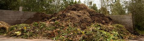 compost heap  top tips eden project