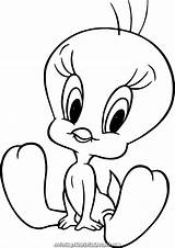 Tweety Coloring Pages Bird Cute Excellent Web sketch template