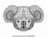 Coloring Adult Animal Koala Zentangle Doodle Patterned Head Antistress Hand Sketch Tattoo Vector Tribal Ethnic Drawn Shirt Stock Pages Stylized sketch template