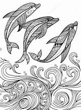 Dolphin Zentangle Mandalas Delfines Delfin Dolphins Freepik Olas T3 Ftcdn Dibujados Ausmalen Moldes Páginas sketch template