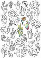 Succulents Tohono Chul Tucson sketch template