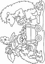Kleurplaat Egels Colorat Hedgehogs Ricci Kleurplaten Herisson Riccio Egel Igel Zum Animale Arici Igeln Ausmalen Fraise P01 Planse Hedgehog Ausmalvorlagen sketch template