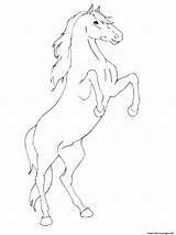 Horse Rearing Coloring Pages Printable Drawing Print Mustang Breyer Outline Friesian Getcolorings Color Supercoloring Colori Paintingvalley Template Collection sketch template
