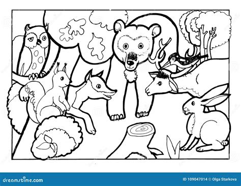 forest animals coloring bookcoloring book pagea black  white