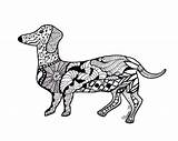 Dog Weenie Coloring Drawing Pages Getdrawings Dogs sketch template