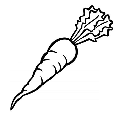 carrot coloring page  printable coloring pages  kids