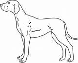 Dog Clip Clipart Coloring Dogs Lineart Drawing Line Drawings Big Cliparts Kids Easy Transparent Template Library Pencil Wikiclipart Sweetclipart Cute sketch template