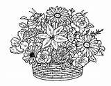 Coloring Flowers Pages Flower Basket Collections Color Print Button Using sketch template