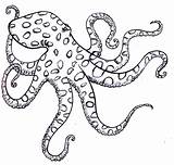 Octopus Drawing Simple Coloring Pages Illustration Outline Line Tattoo Sea Getdrawings Magda Lauren Octopuses Kids Google Search Ocean Pattern Visit sketch template
