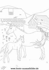 Ausmalbilder Pferd Pferde Bauernhof Ostwind Ausmalen Malvorlagen Zwei Malvorlage Kostenlose Zeichnung sketch template