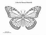 Butterfly Monarch Coloring Pages Drawing Outline Line Getcolorings Printable Color Print Getdrawings Paintingvalley Popular sketch template