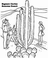 Desert Coloring Pages Sahara Cactus Sonoran Ecosystem Getdrawings Biome Drawing Getcolorings Colori sketch template