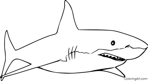 great white shark coloring pages coloringall