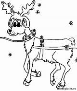 Rendier Kerst Kleurplaten Rendieren Renne Rentier Rudolph Reindeer Kleurplaat Babbo Nosed Malvorlagen Coloriages Kerstplaatjes Misfit Poetizzando Animaatjes Coloringpages Malvorlage Rechten sketch template