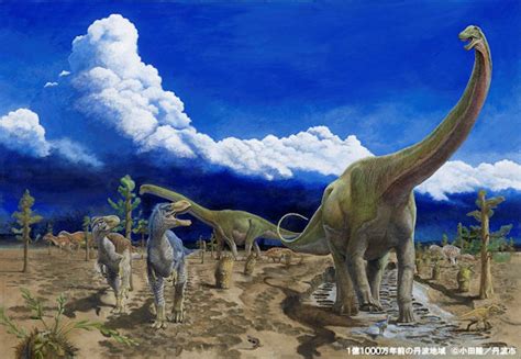 恐竜化石等の情報 兵庫県立 人と自然の博物館（ひとはく）