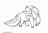 Anteater Pages Coloring Giant Printable Adults Kids sketch template