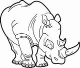 Coloring Rhino Rhinoceros Pages Printable Getcolorings sketch template