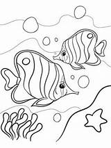 Coloring Summer Pages Printable Kids Tropical Fish Adults Color Print Sheets Parents Printables Time Coral Reef Adult Getdrawings Choose Board sketch template
