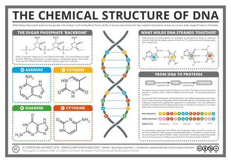 compound interest  chemical structure  dna