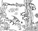 Coloring Pages Ocean Reef Ecosystem Marine Aquarium Drawing Plants Fish Printable Coral Barrier Great Floor Drawings Underwater Waves Among Print sketch template