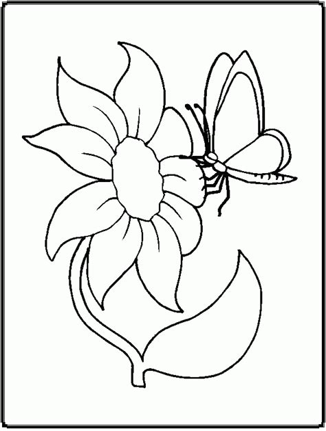 coloring pages  butterflies  flowers coloring home
