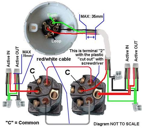 hpm batten holder wiring diagram colorin