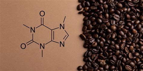 caffeine intolerance understanding   symptoms