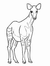 Okapi Coloring Pages Baby Printable Drawing Supercoloring Animal Color Kids Print Animals Choose Board Categories Calf sketch template