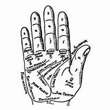 Palm Reading Clipart Hand Clipground Stamps Alpha sketch template